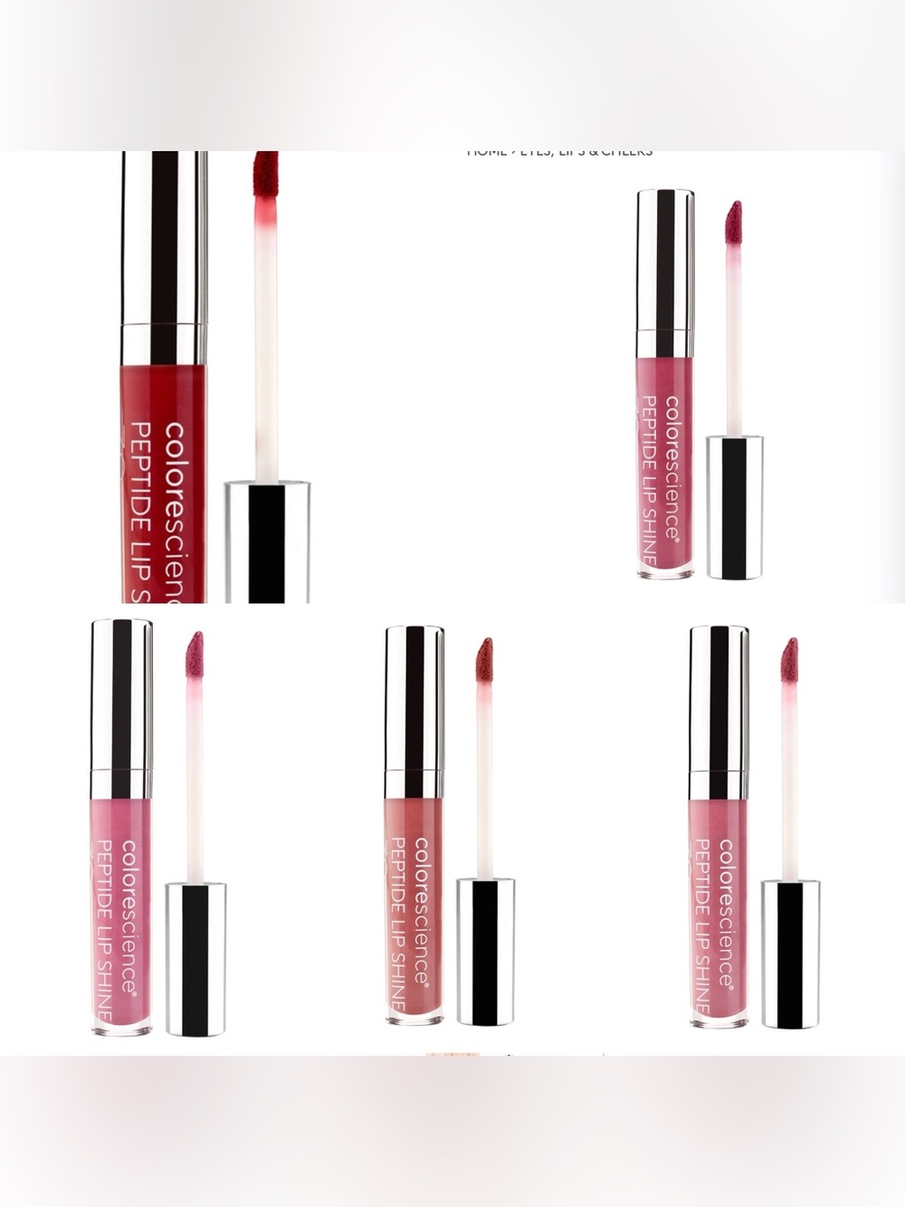 Colorescience Lip Shine Bundle